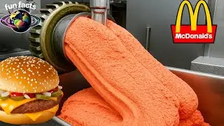 What Really Happens Before a McDonald’s Burger Reaches Your Table 😨