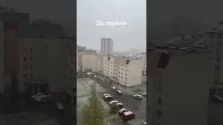 ЗИМА 26 апреля в Гродно❄️