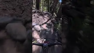 Fun Steep Shoot at the end #mtbpov #mtb #bike