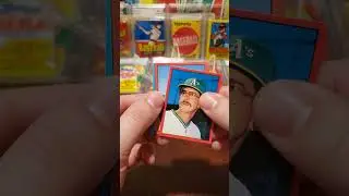 1982 Topps Baseball Album Stickers #vintagebaseballcards #junkwax