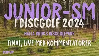 Junior-SM i Discgolf på Häfla Bruk 2024, runda 3