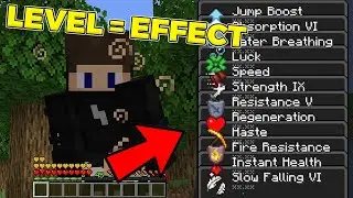 Kekuatan Level Minecraft Berubah Menjadi Effect!