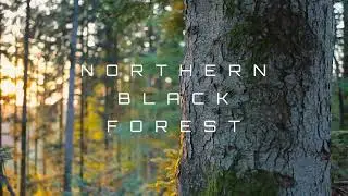 Northern Black Forest