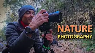 Infinite Perspectives: How to Capture Beauty from Macro to Wide