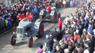 Bulldog ziag'n 2017 