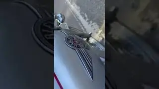 flstn engine noise