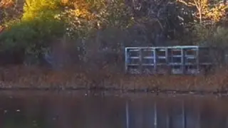Charles River Reflections