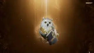 300+ open card Legendary pet!
