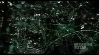 The Odd Angry Shot