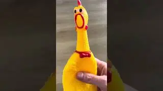 SUONI PER CANI, POLLO, TESTA GIRATA, GIOCHI PER CANI SHORT #short #suonicani #giochicani