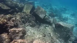 Siganus Fish  Stone breakwater