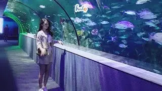 Experience the largest Aquarium in Time City Hanoi12 th&aacute;ng 3, 2022