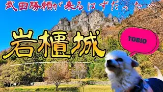 【岩櫃城】武田勝頼が辿り着けなかった「幻の終焉地」。真田最強の要塞をトビオと山頂まで徹底踏破！