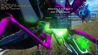 Ark Official Legacy PVE:Alpha Maewing Poach Alpha Solo