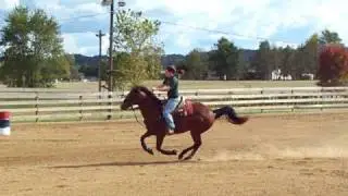 Barrel Racing Dallas - Sept. 08 Speed Show His Personal Best