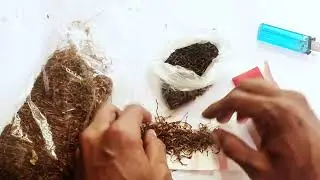 Cara Nglinting Mbako Jawa | Tingwe (ngelinting dewek) + Menyan