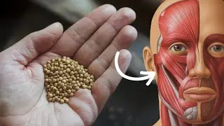 The Shocking Truth About Eating Chia Seeds Daily
