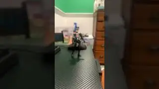 Should&rsquo;ve used force #funny #memes #police #actionfigures