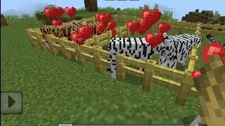 Minecraft Zoo Minecraft Animal Tigar Tem#minecraft #zoo #animals