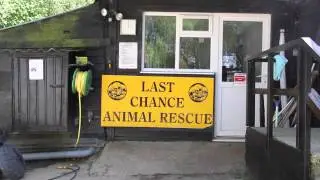 Last Chance Animal Rescue