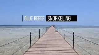 Marsa Alam Blue Reef Resort *** Sataya Reef***Marsa Egla