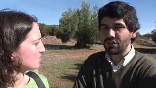 Badger Healthy Body Care использует органическое оливковое масло первого холодного отжима из Испании &mdash; полная версия