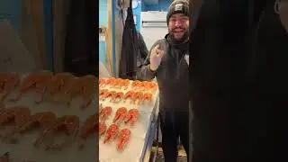 Iniziamo la settimana con le Meraviglie del Mare - Martedì 