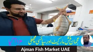 Ajman Fish Market and Spicy Grill Fish | Ajman Fish Wholesale Market