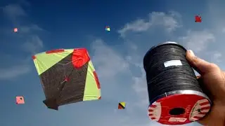 Kite Fighting | Kite Cutting | Kite Flying | Kite Vlogs |