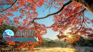 Извор на Надеж - Емисија 024 - Сезона 6