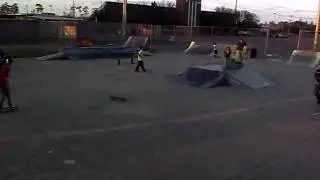 Skate borading