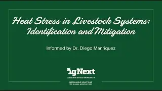 Heat Stress in Livestock Systems: Identification and Mitigation