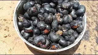 JINSI YA KUKAANGA KOROSHO