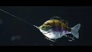 FishLab Bio-Gill Glide Bait Swimming Action
