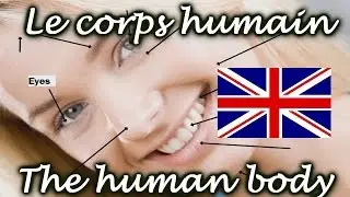 Cours d'anglais avec Huito: le vocabulaire du corps humain