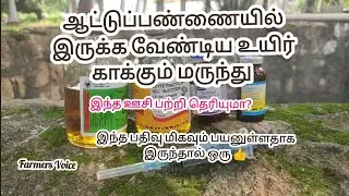 Trending fever treatment 2025 goat medicine terramysin #fever fast recover viral @farmers-voice_02