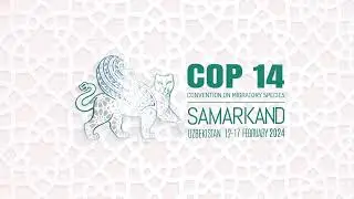 CMS COP14 - 5th Day Plenary [RUSSIAN] / 16 Feb afternoon session