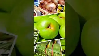 Как голливудские технологии операторской работы #США #вирусный #короткометражный #длинный #видео