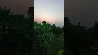 Naic sun set my city sort me please