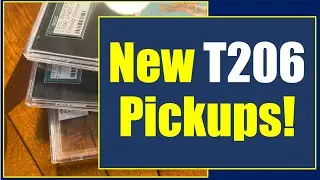 NEW T-206 PICKUPS - Loving Collecting Vintage Prewar Cards
