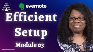 Master Evernote Settings Like a Productivity Pro | Lesson 3