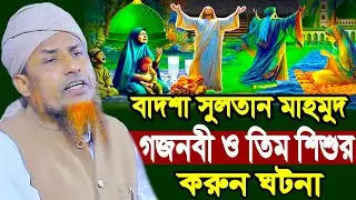 বাদশা সুলতান মাহমুদ গজনবী ও তিম শিশুর ক*রুন ঘটনা | Mufti Waliullah New Waz 2026