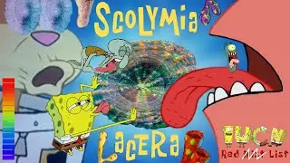 Scolymia Lacera