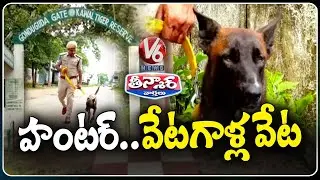 Sniffer Dog 'Hunter' Assists in Apprehending Wildlife Poachers and Smugglers| Jannaram |  V6Teenmaar