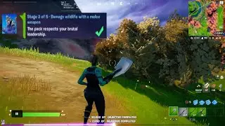 Destroy a dumpster at Lazy Lake or Pleasant Park Fortnite Locations