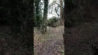 One day clearing brambles