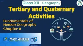 Tertiary and Quaternary Activities | Class 12 Geography Chapter 6 | CBSE NCERT | Quick Revision