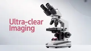 Best Trinocular Microscope Set of 2025  On AliExpress