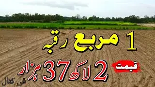 1 Murabah Agriculture Land for Sale | Land for Sale in Punjab Pakistan | Episode 141