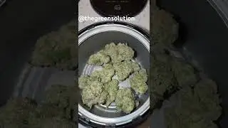 The Green Solution Colorado #rap #hiphop #colorado #420